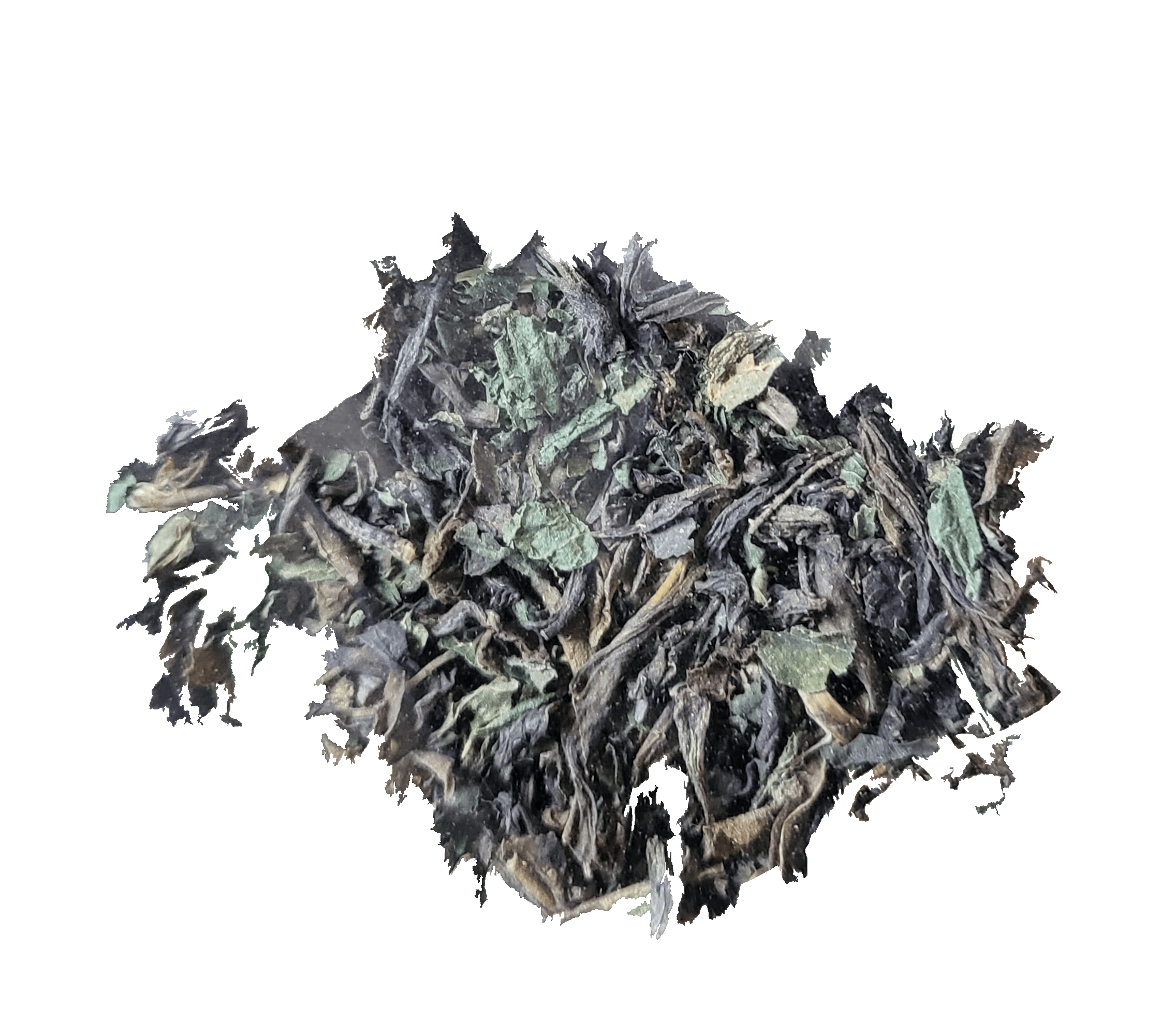 Herbata zielona z pokrzywą - 50g -torebki