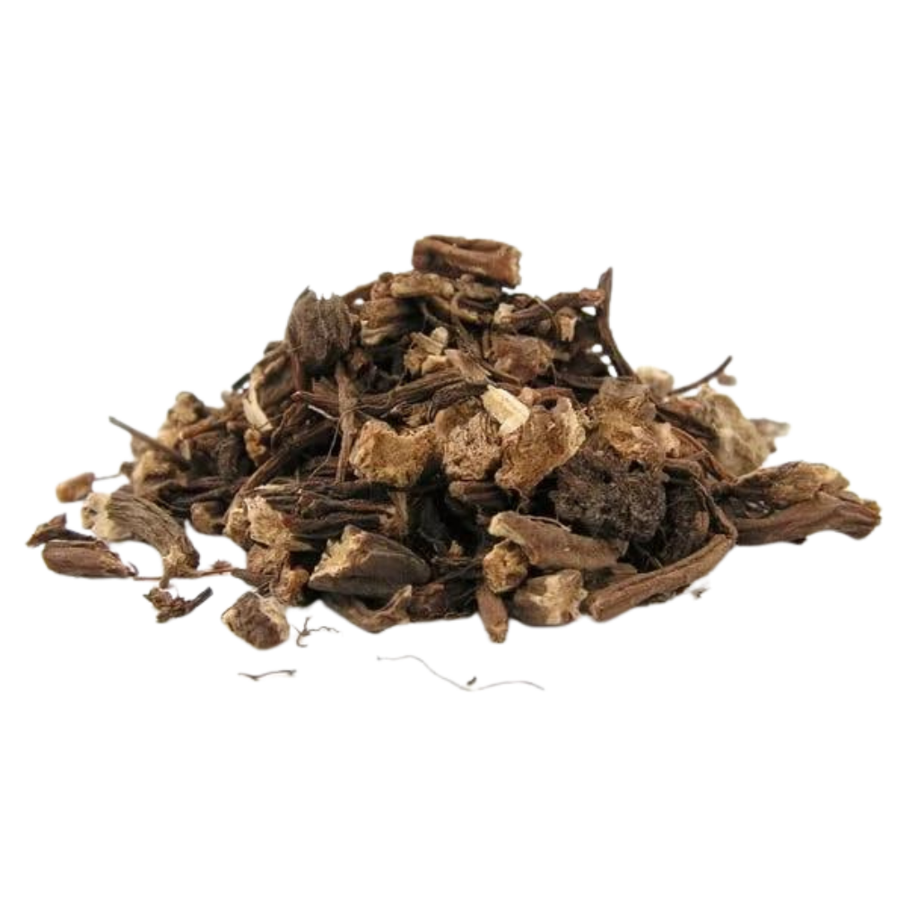 Arcydzięgiel korzeń - 50g - eko