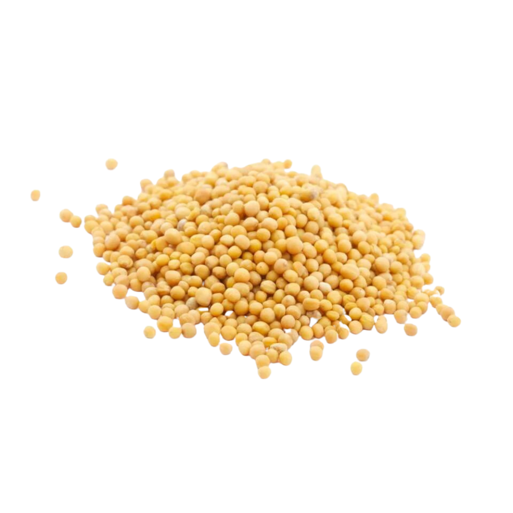 Gorczyca biała- 40 g