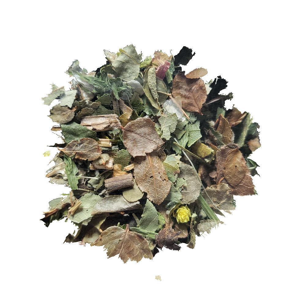 Herbata polecana przy cukrzycy - 50g - eko