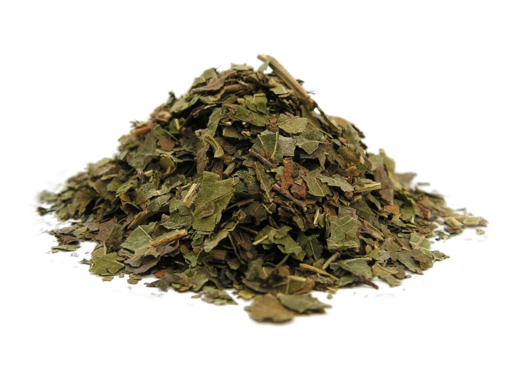 Morwa biała liść - 50g - eko